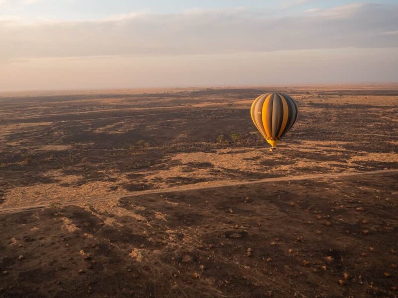 Tanzania Safari for Influencers
