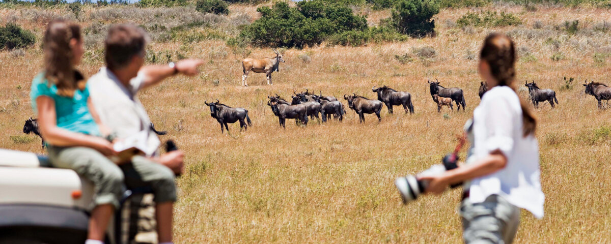 Tanzania Safari with Children