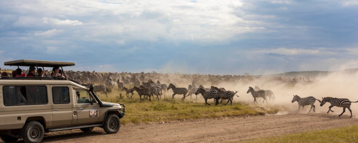 January Tanzania Safaris – Start Your Year with an Unforgettable Adventure