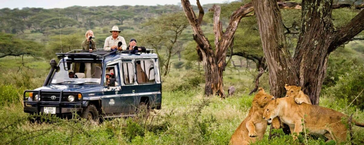 Tanzania Group Safari Packages – Best Group Safaris in Tanzania
