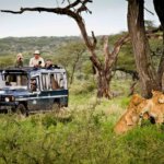 Tanzania Group Safari Packages – Best Group Safaris in Tanzania