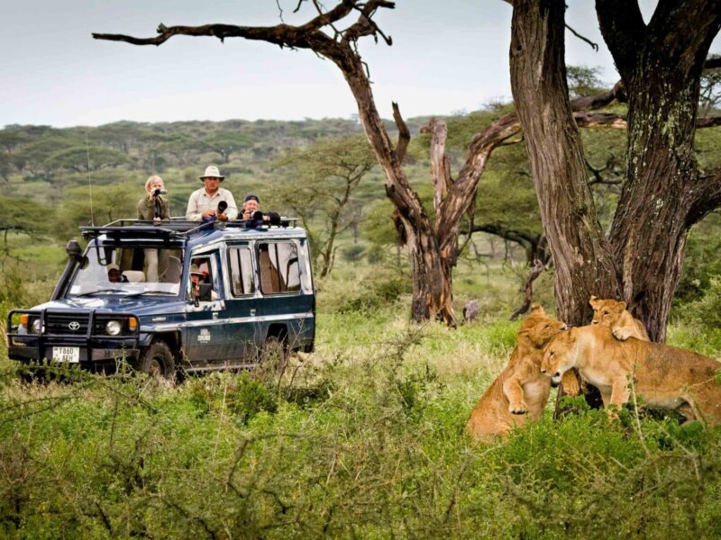 Tanzania Group Safari Packages – Best Group Safaris in Tanzania