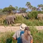 Tanzania Safari for Students