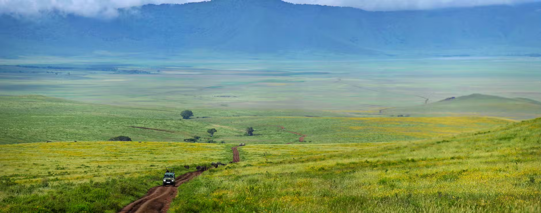 Tanzania Safari in Green Season: A Fresh and Scenic Wildlife Experience