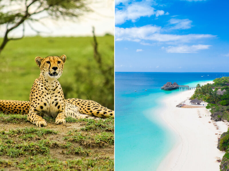 Tanzania Safari from Zanzibar