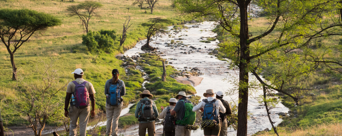 Tanzania Safari and Nature Walks