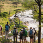 Tanzania Safari and Nature Walks