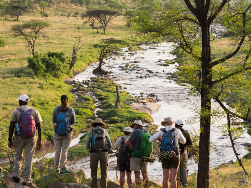 Tanzania Safari and Nature Walks