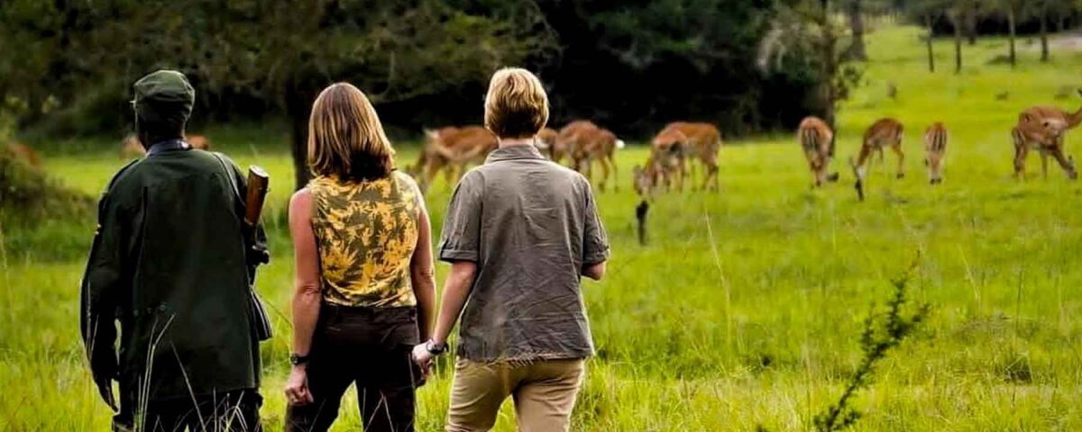 Tanzania Walking Safaris – Best Guided Walking Safari Experience in Tanzania