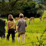 Tanzania Walking Safaris – Best Guided Walking Safari Experience in Tanzania