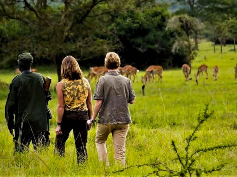 Tanzania Walking Safaris – Best Guided Walking Safari Experience in Tanzania