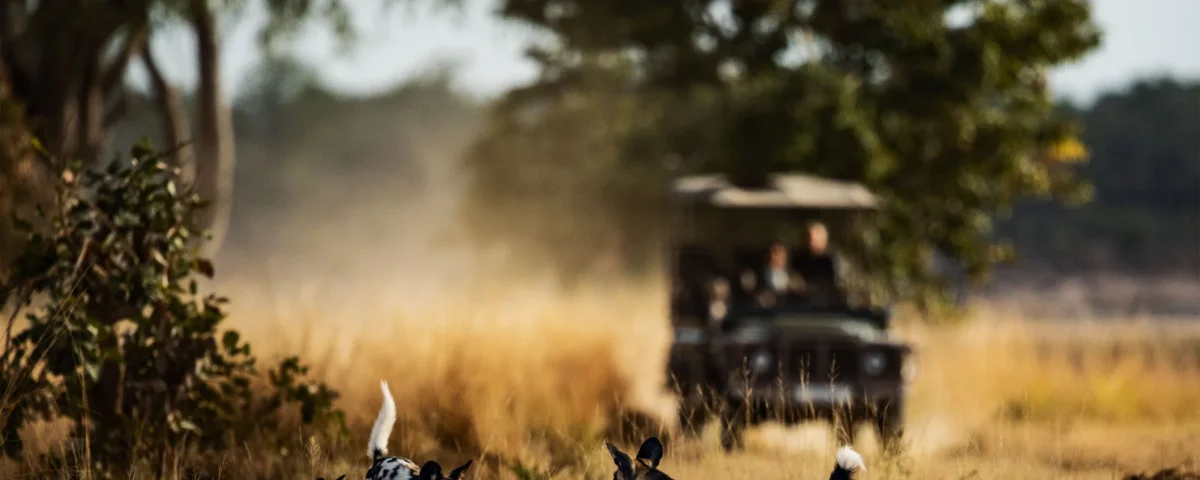 Tanzania Safari with Professional Photographers
