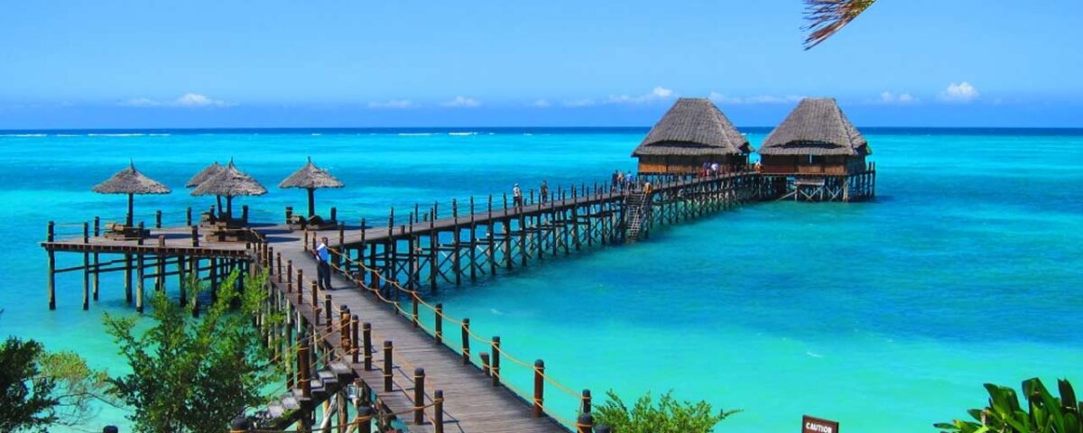 How Do I Plan a Tanzania Safari Holiday
