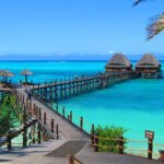 How Do I Plan a Tanzania Safari Holiday