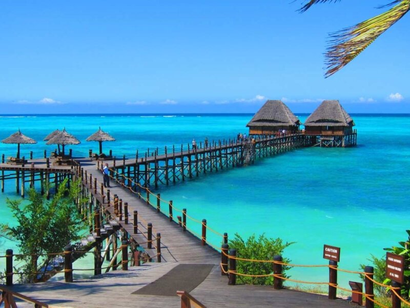 How Do I Plan a Tanzania Safari Holiday