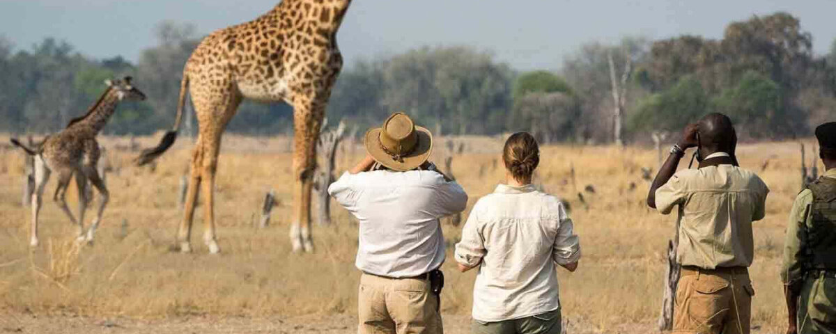 What Clothes Should I Wear on Safari in Tanzania