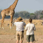 What Clothes Should I Wear on Safari in Tanzania