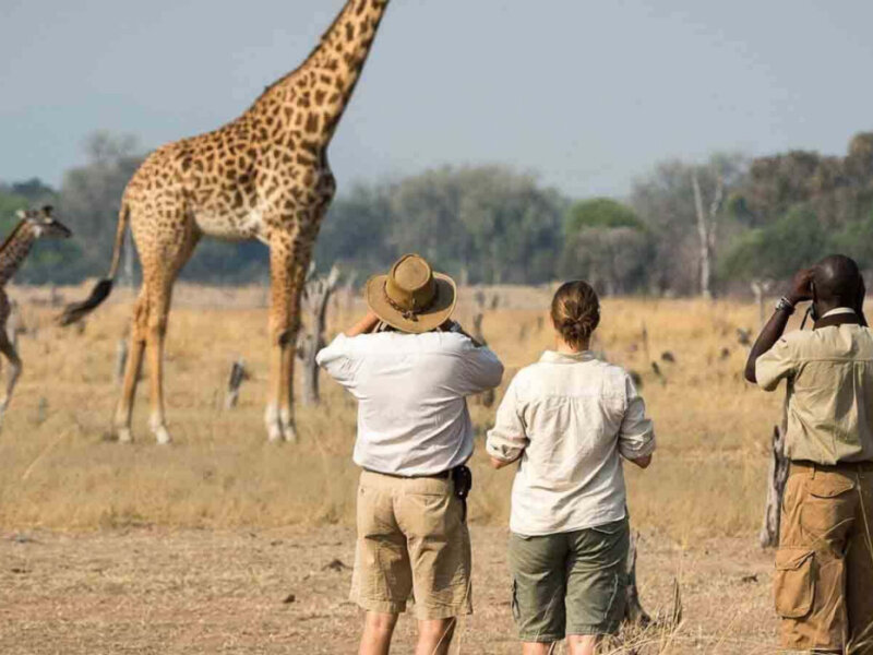 What Clothes Should I Wear on Safari in Tanzania