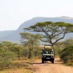 What Is Budget Safari in Tanzania