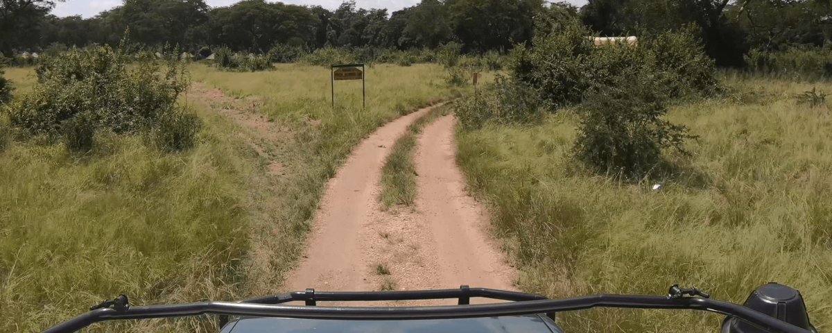 Can I Self Drive in Tanzania National Parks