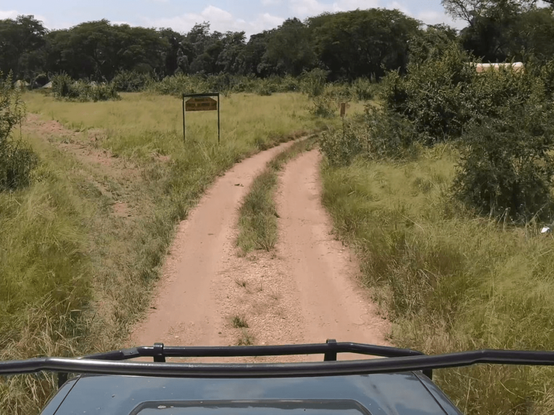 Can I Self Drive in Tanzania National Parks