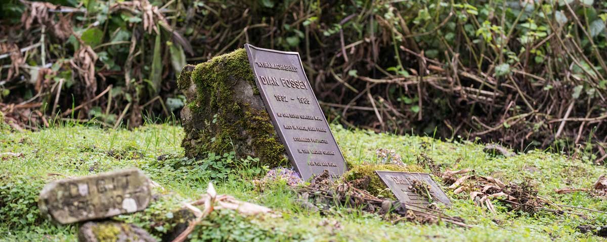Can I visit Dian Fossey’s grave in Rwanda