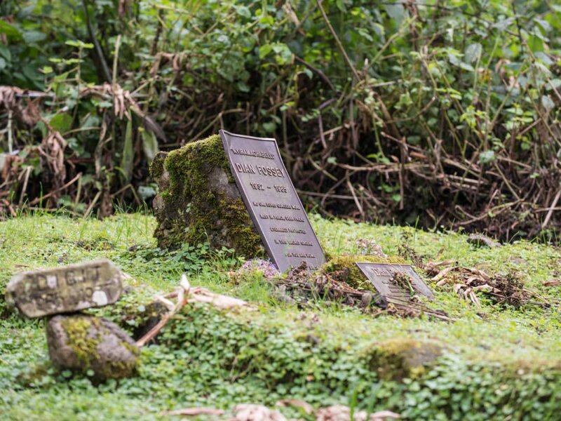 Can I visit Dian Fossey’s grave in Rwanda