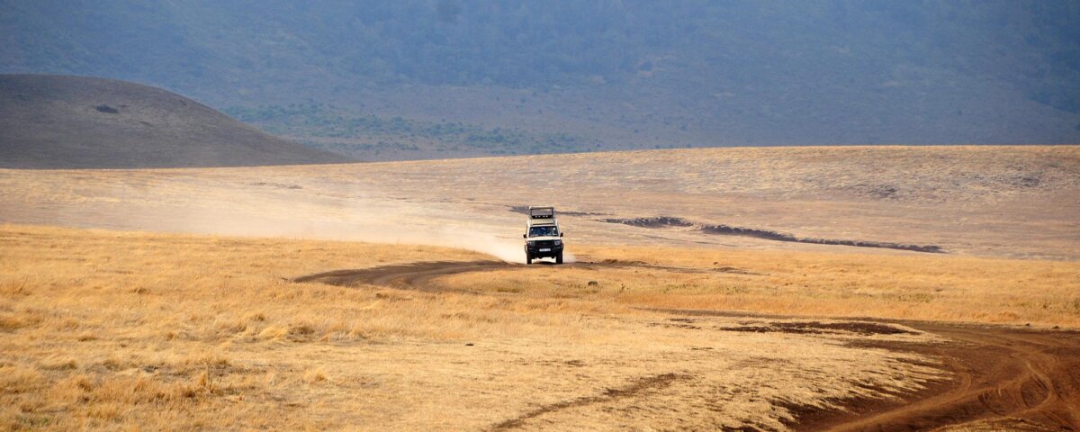 Are Guided Safaris Better in Tanzania