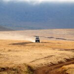 Are Guided Safaris Better in Tanzania