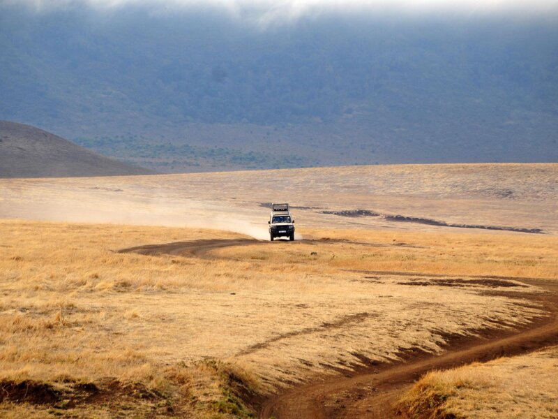 Are Guided Safaris Better in Tanzania