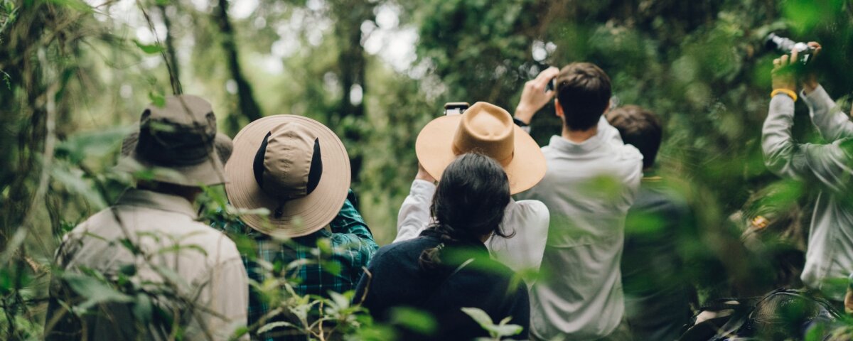 Are Rwanda Safaris Good for Honeymoon