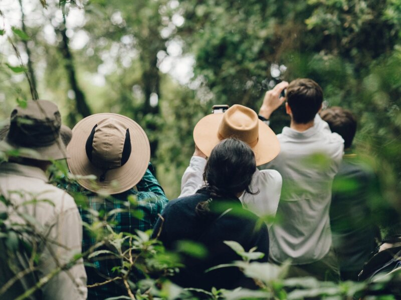 Are Rwanda Safaris Good for Honeymoon