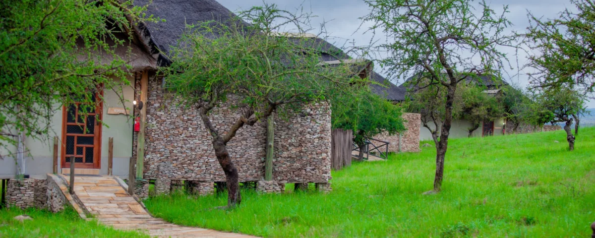 Which Tanzania Safari Lodge Is Best