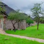 Which Tanzania Safari Lodge Is Best
