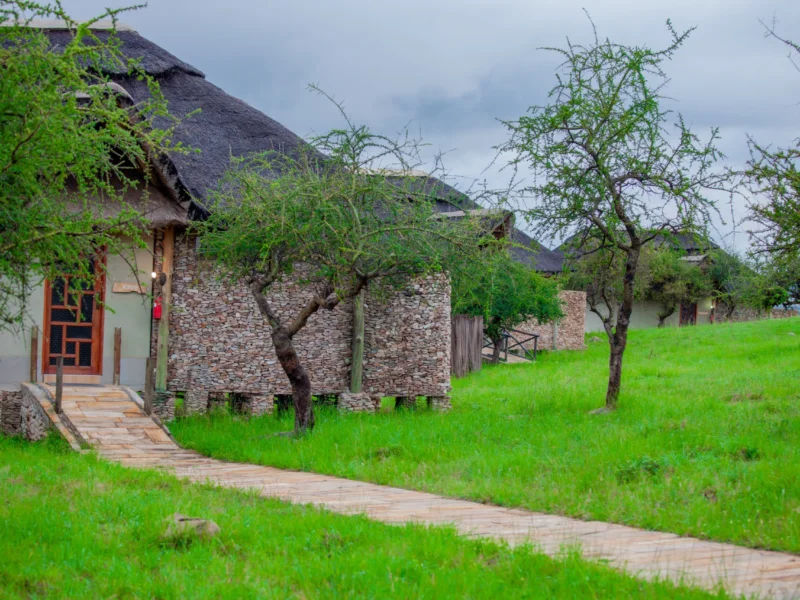 Which Tanzania Safari Lodge Is Best