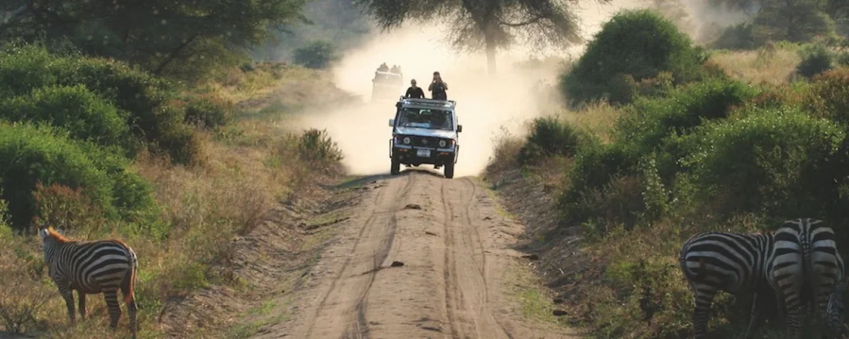 How Do Tanzania Safari Tours Work