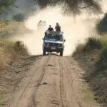 How Do Tanzania Safari Tours Work