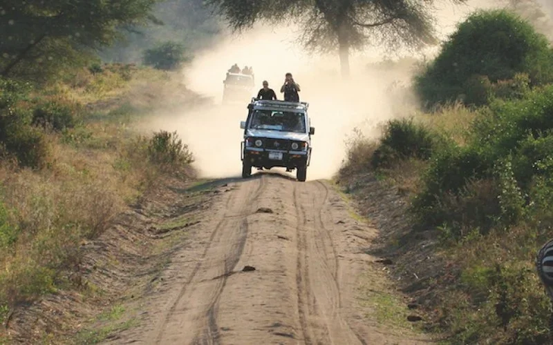 How Do Tanzania Safari Tours Work