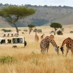 What Are the Best Family Safari Adventures in Kenya?