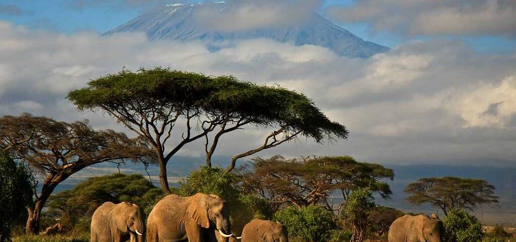 What Are the Best Kenya Safari Parks for Scenic Photography?