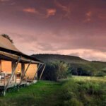 What Are the Best Safari Camps in Private Conservancies?