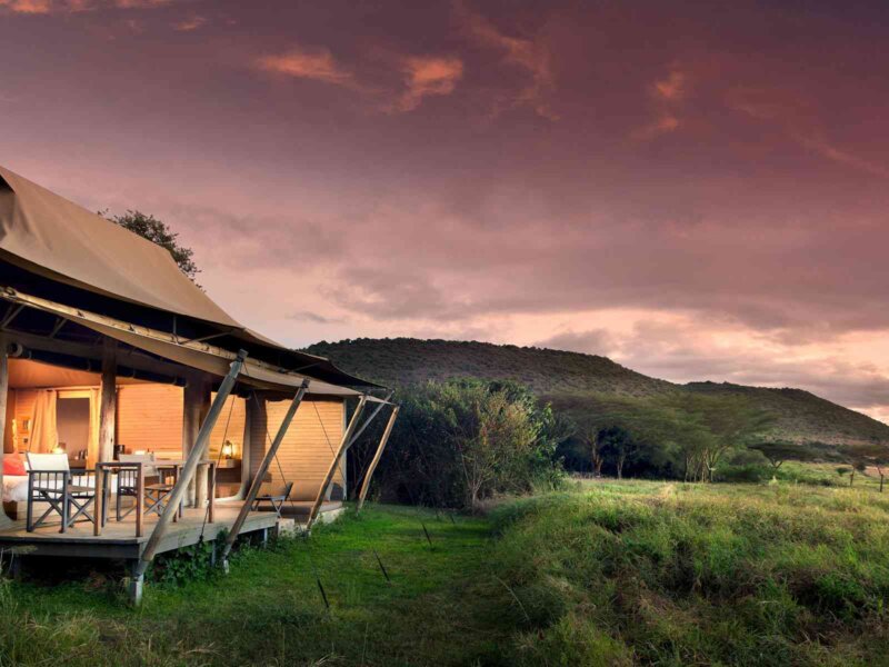 What Are the Best Safari Camps in Private Conservancies?