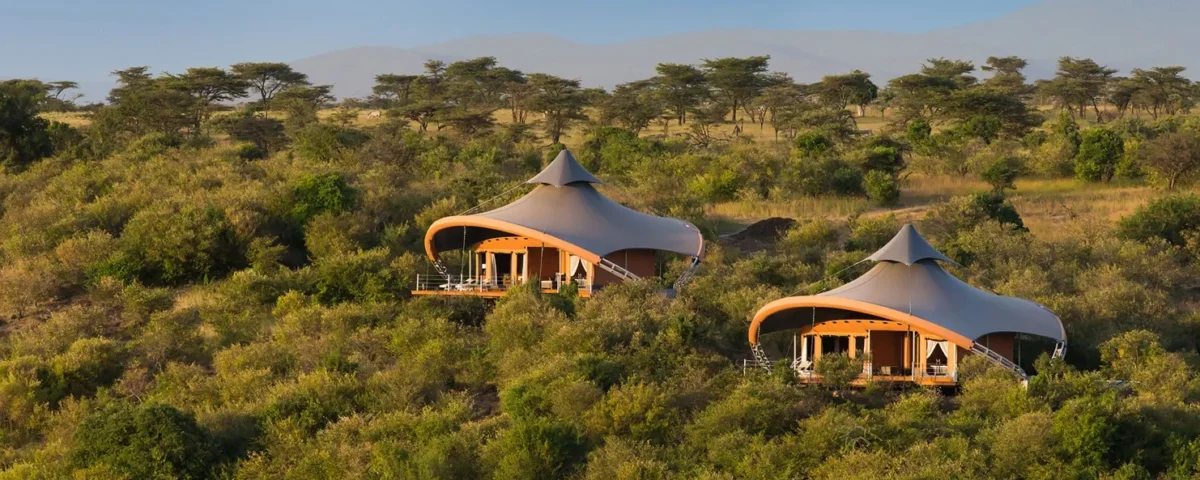 What Are the Best Safari Experiences for First-Time Safari Travelers?