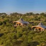 What Are the Best Safari Experiences for First-Time Safari Travelers?