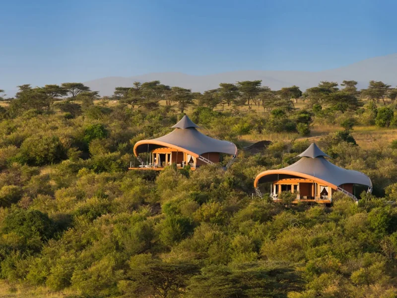 What Are the Best Safari Experiences for First-Time Safari Travelers?
