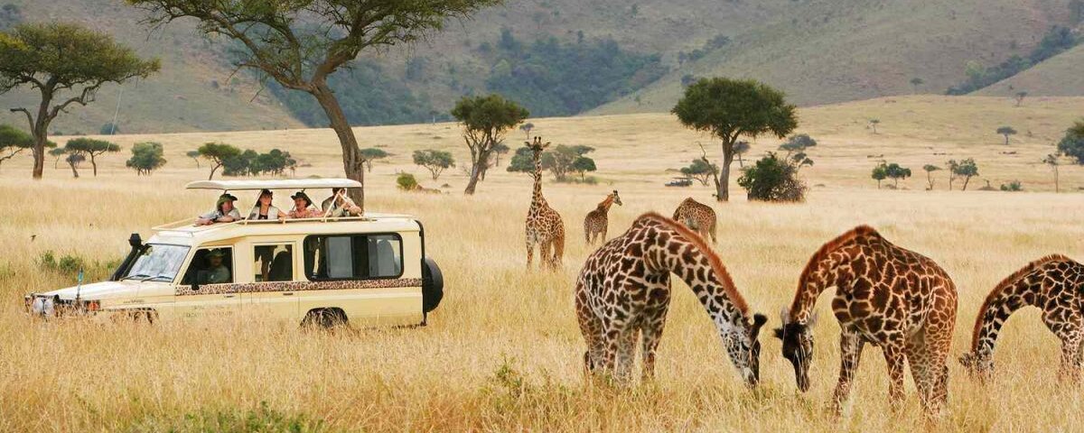 What Are the Best Tsavo Safari Tours?