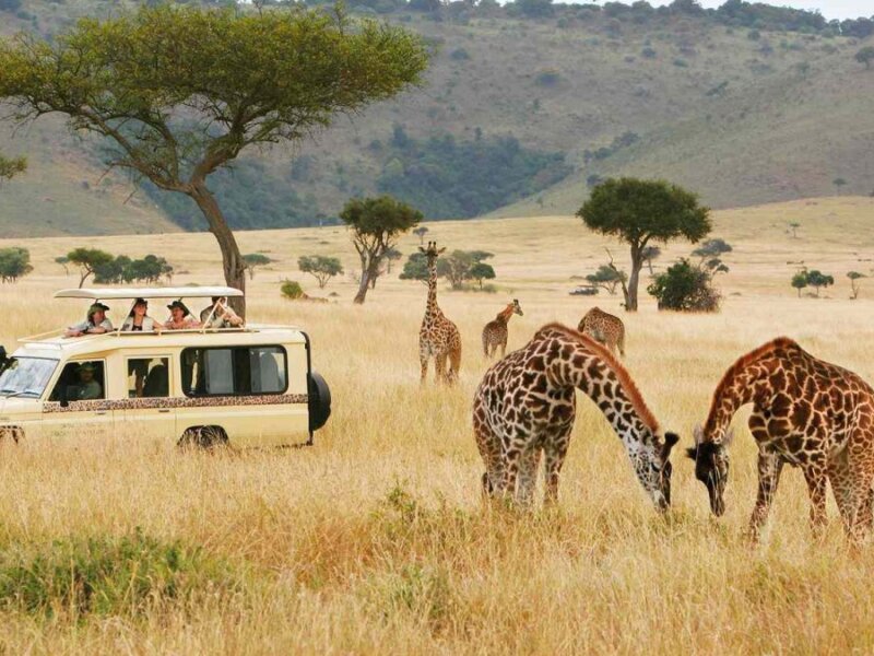 What Are the Best Tsavo Safari Tours?