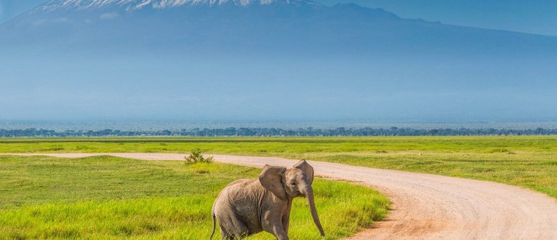 What are the best Kenya safari parks for adventure activities?