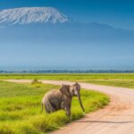 What are the best Kenya safari parks for adventure activities?