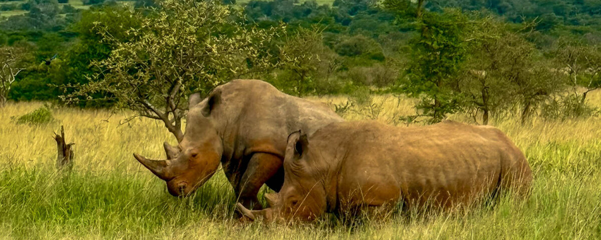 What are the best national parks in Rwanda